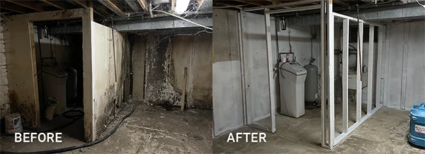 Mold Before and After - Basement Flood