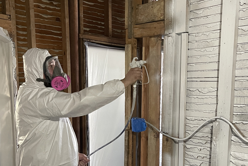 Mold Removal in Chicago and Suburbs | IICRC S520 Standard Mold ...